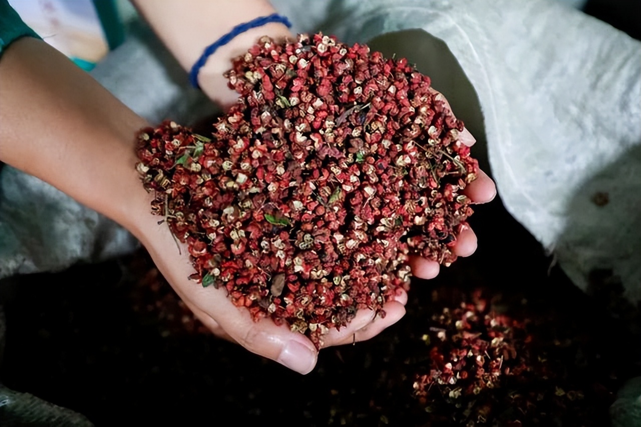 调味料吃得越少越好？未必，常吃这4种调味料，也可以很健康