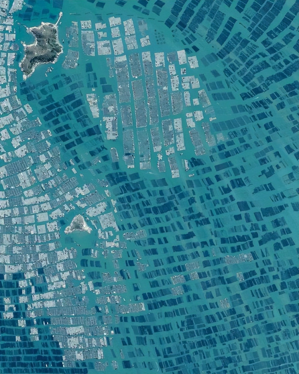 全球面临50年来最严重的“粮食危机”，谁来养活中国？