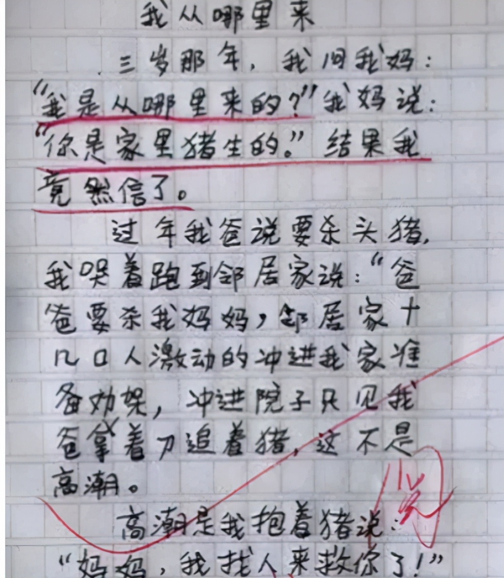 小学生作文《我的班主任》火了，讽刺老师的发量，看后笑到肚子痛