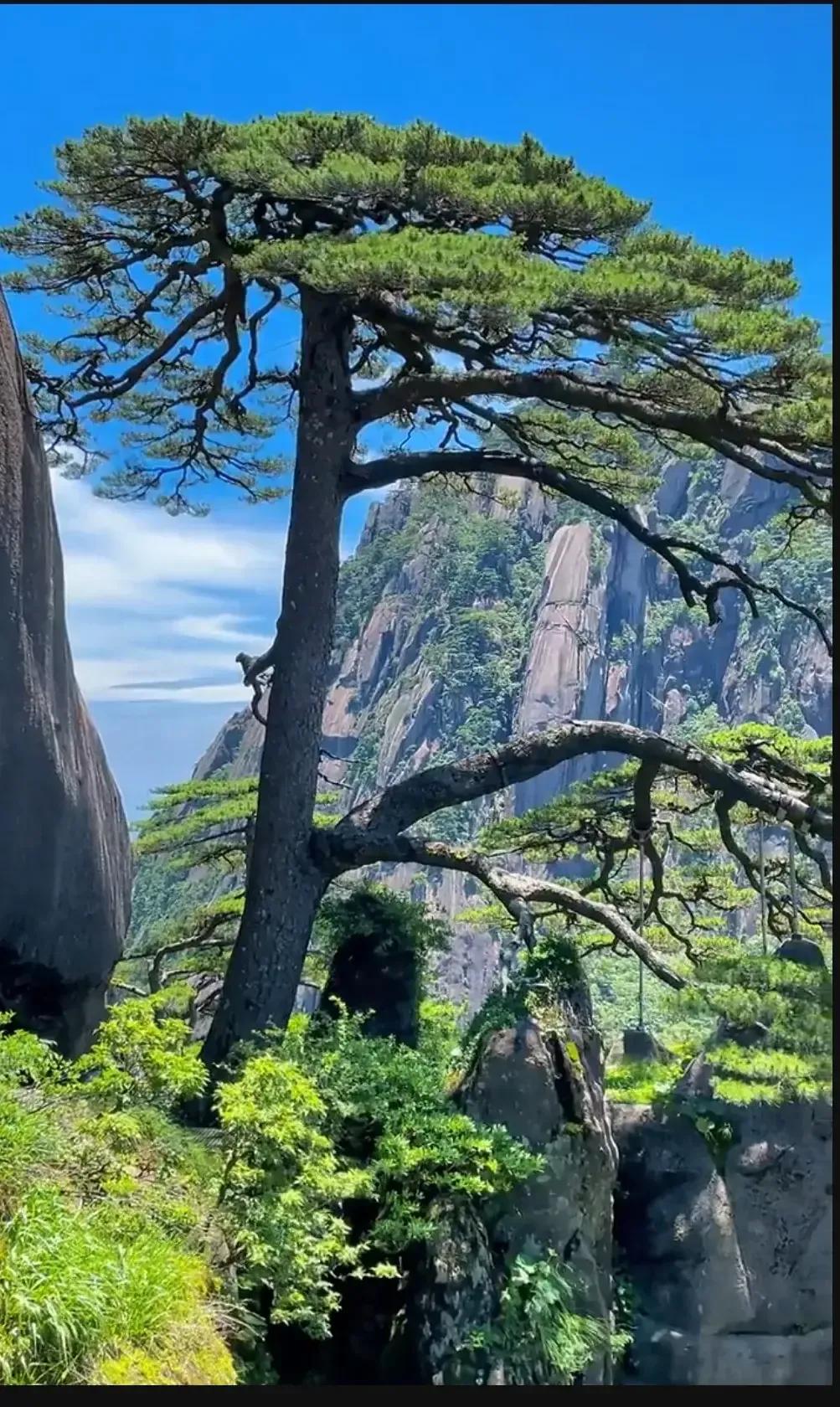 为啥说喜欢《滕王阁序》风格的多半喜欢窗帘布和锦旗一类