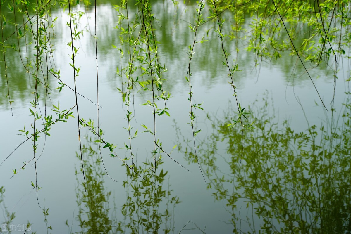 当唐诗宋词遇上春日美景，一起感受春天里的诗意美景