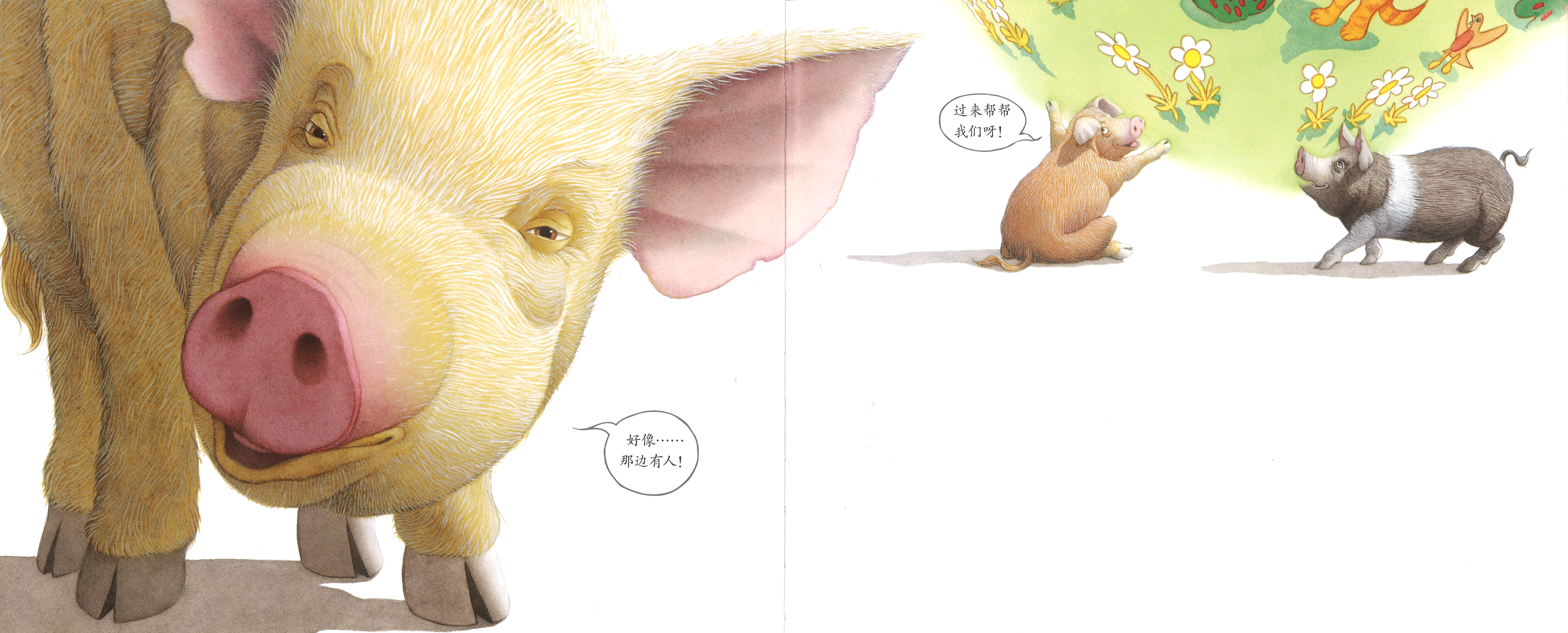 绘本《三只小猪》解读——天马行空的创意