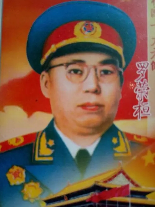 十大元帅，单论战功谁排第一？毛主席又给予了他们怎样的评价？