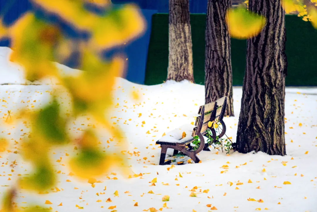 获奖名单公布！大工原来这么美