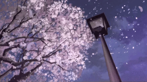 堆云叠雪，试手天工，疑是初春香雪风——樱花，岁岁花开树树春