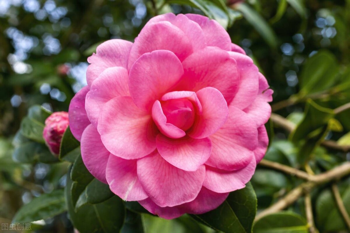 让男人更爱你的高手段：“风情”