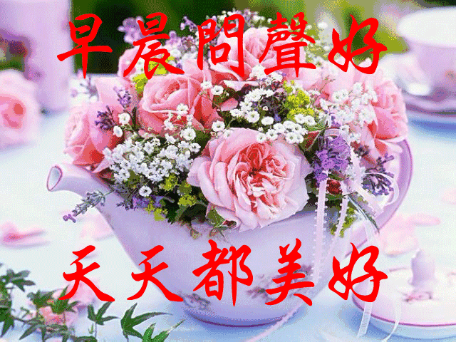 早安祝您安康快乐，愿你如诗，未来可期