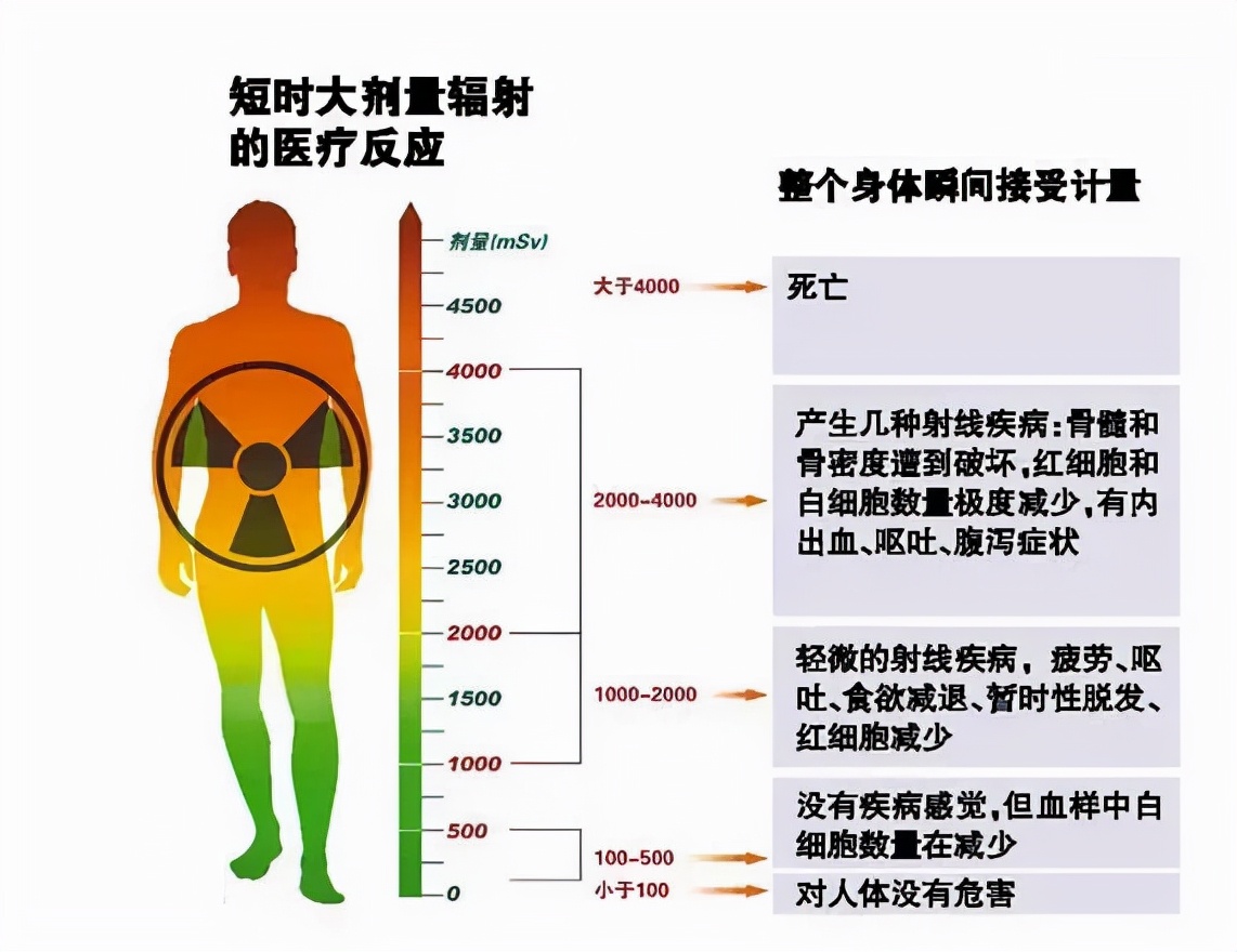 CT致癌？一年三次CT能做吗？今天好好给大家说说