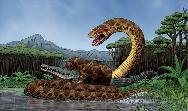 8米,50斤!深圳工业园发现巨蟒,在野外遇到蛇,该如何逃生?