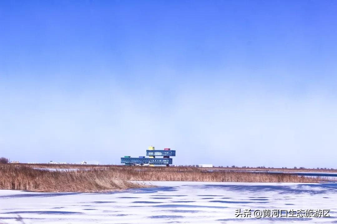 【黄河口生态旅游区】初雪悄临 静谧美好