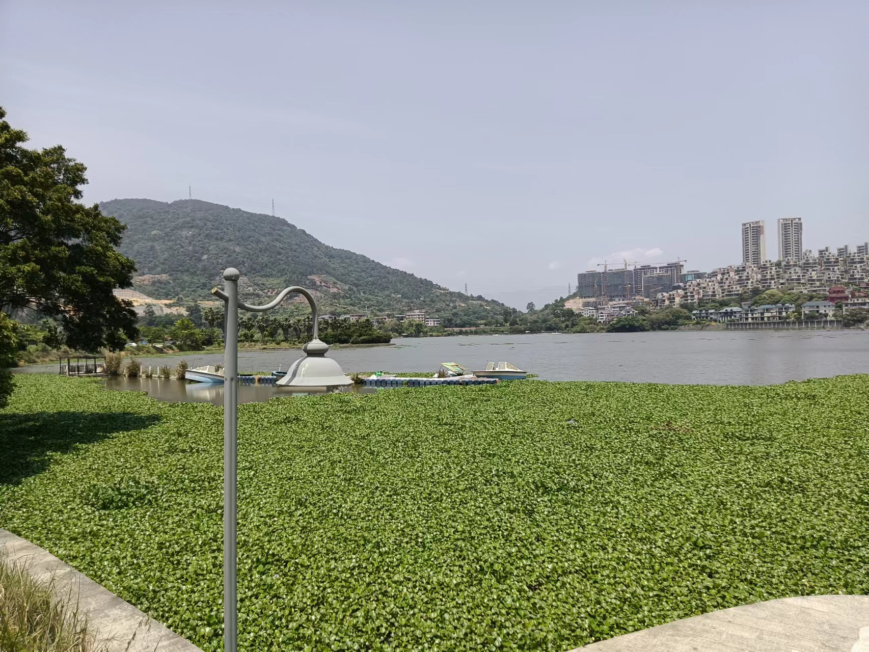 闽越水镇，恒大悦珑湾，福州这两个江景楼盘，值得入手吗？