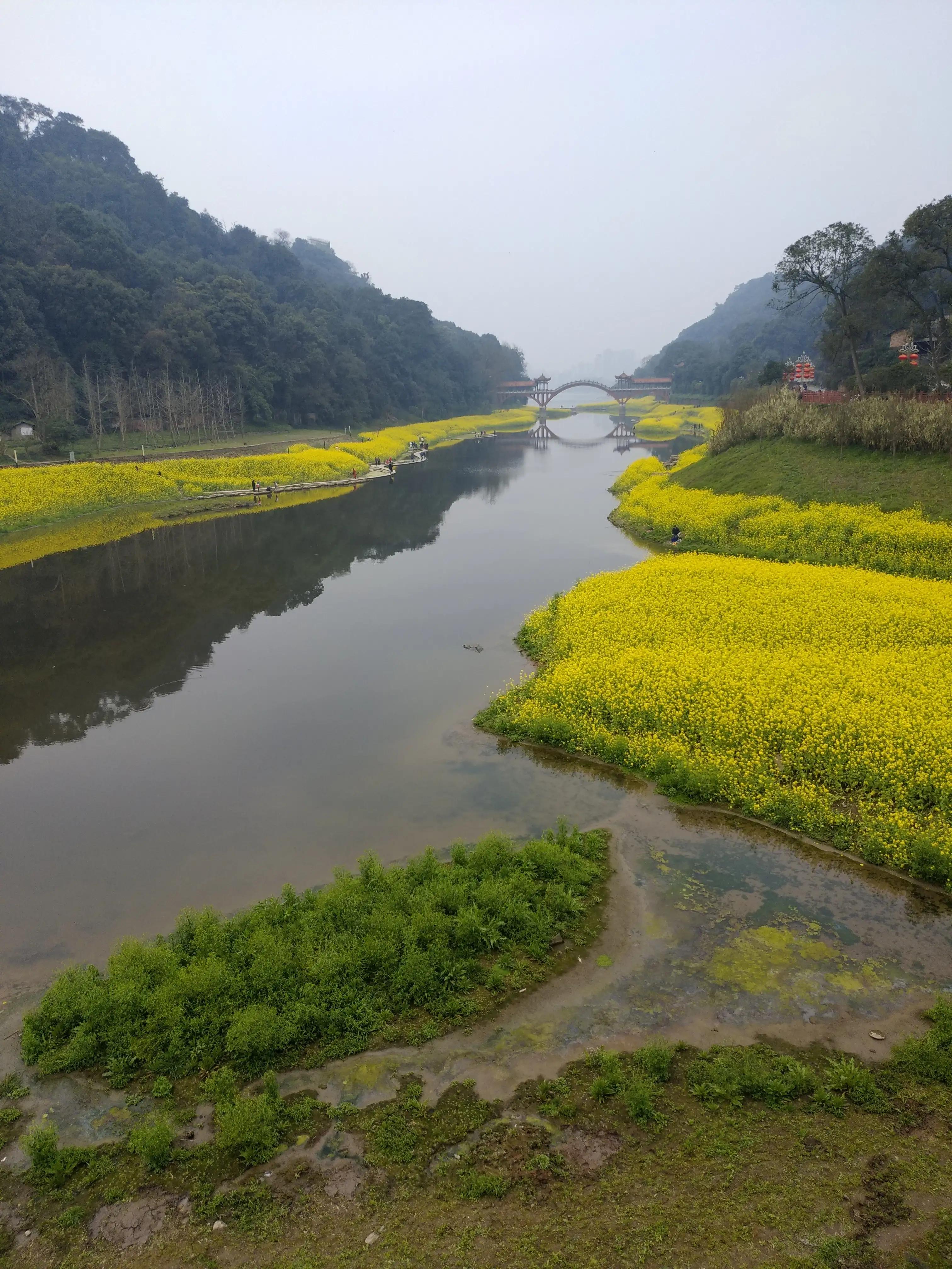 春天的田野