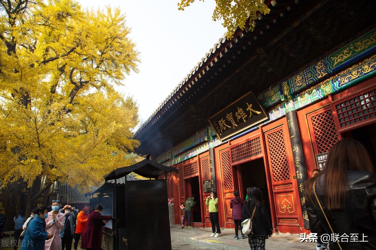 北京這么多寺廟，新年祈福去哪兒合適？