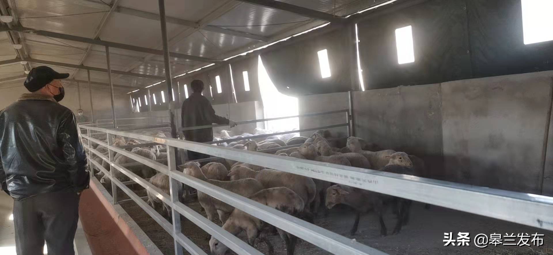 ������ʯ�����ˮ�壺��ֳ��ӭ����һ���������ˡ� Ϊ�弯�徭�÷�չע������ѪҺ