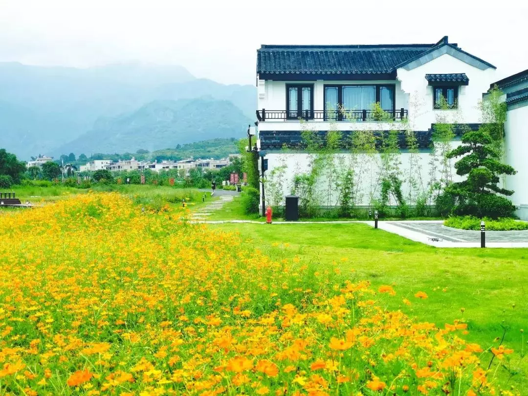 河源温泉度假村排行榜揭晓，春沐禾悦庄荣登榜首