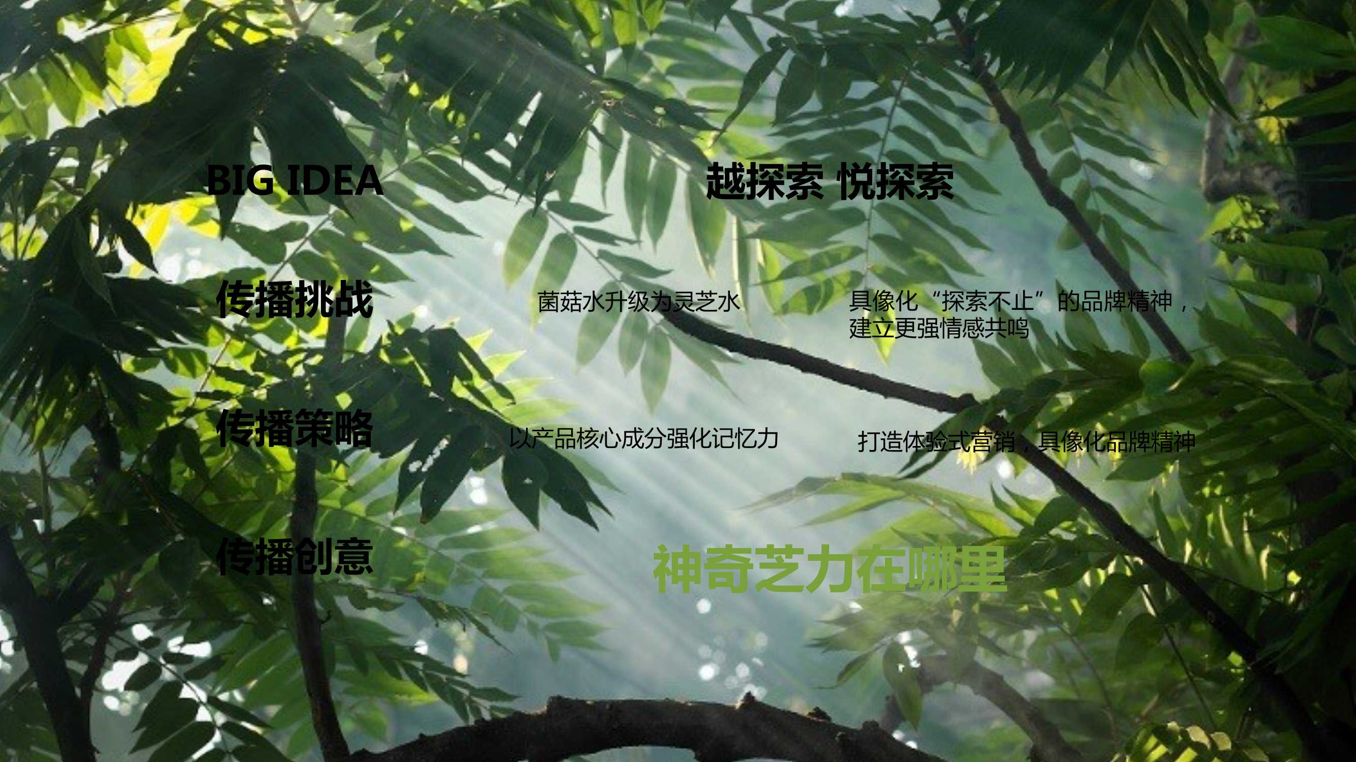 韦博士灵芝焕能精华水品牌传播案「PPT」