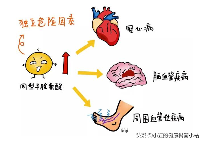 便宜的维生素B12是营养神经、改善贫血的良药，服用时应注意5点