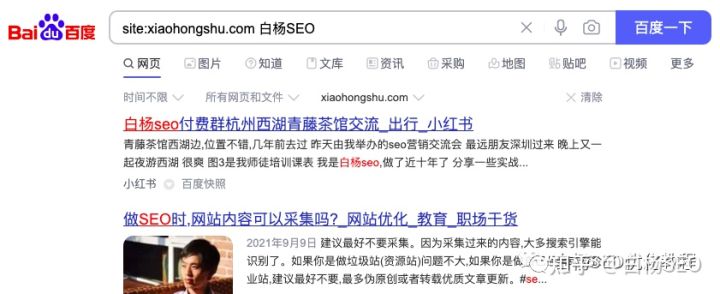 白楊SEO：2022年上半年國內(nèi)搜索引擎市場占比出來了，看這