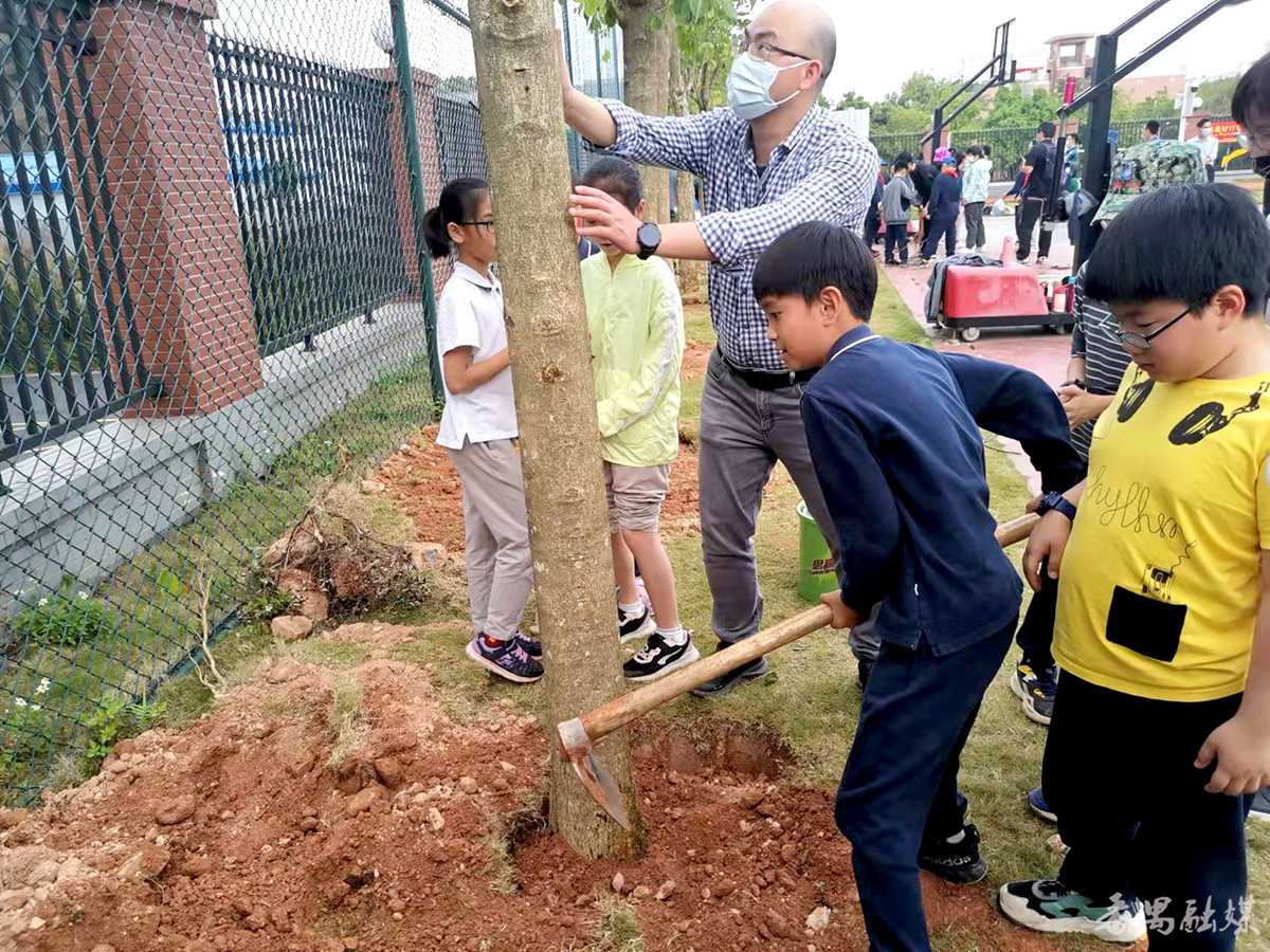 華師附屬大學(xué)城小學(xué)舉行植樹(shù)活動(dòng)(圖3) 華師附屬大學(xué)城小學(xué)舉行植樹(shù)活動(dòng)(圖3)