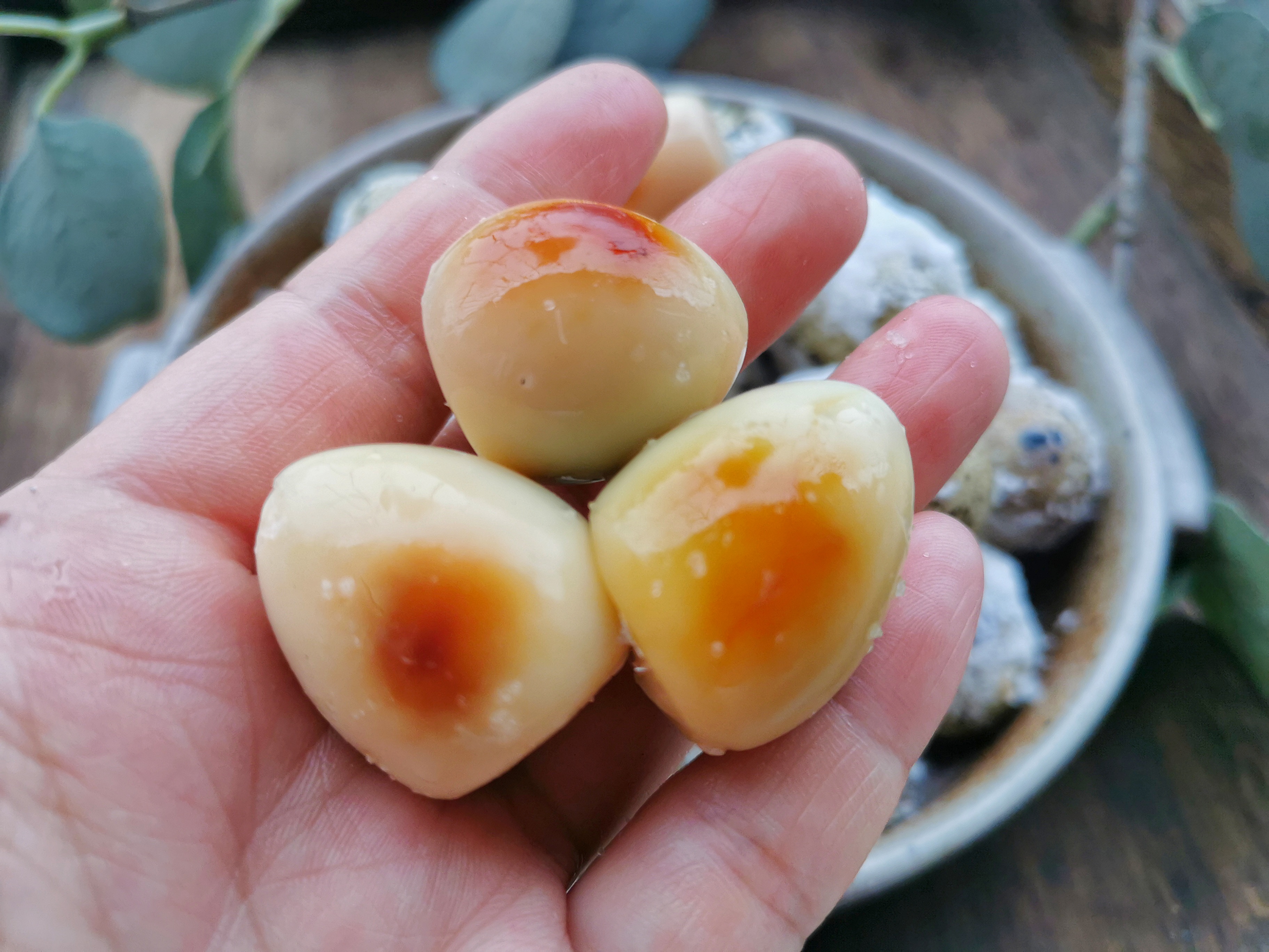 鹌鹑蛋不卤也不炸，这种做法比白水煮好吃100倍，一口一个超过瘾