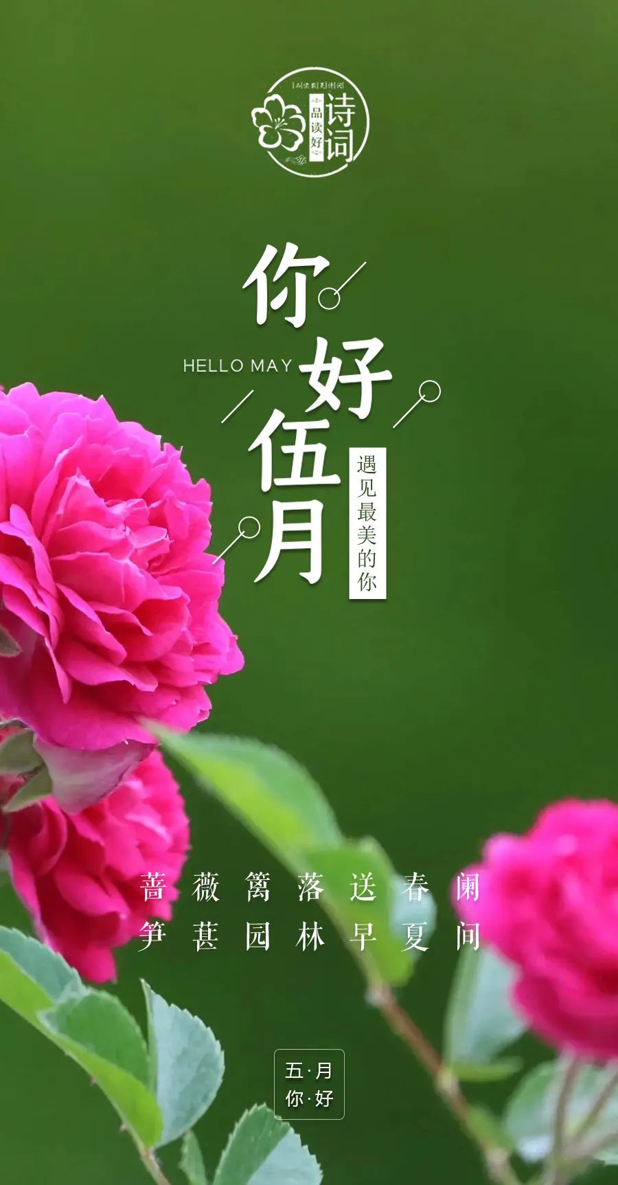 美文美图-五月,你好 | 愿一切美好如期而至,愿你活出自己的精彩