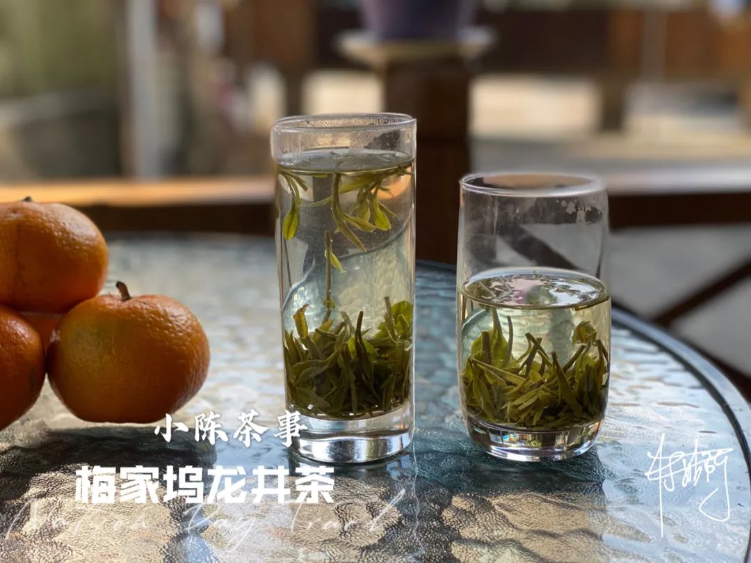 龙井茶属于(既然大红袍、铁观音都是乌龙茶，那么乌龙茶到底是红茶还是绿茶？)