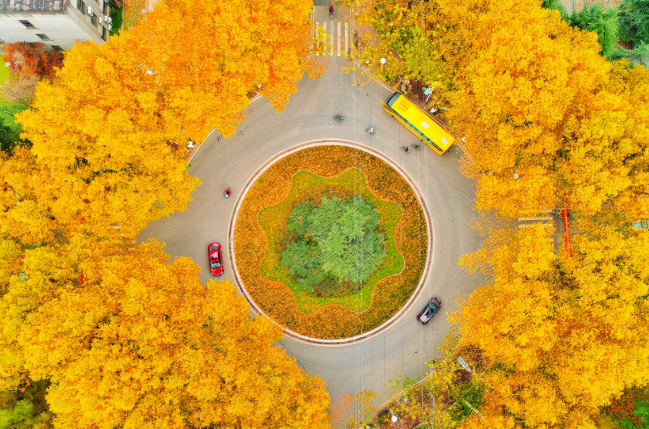 这所211大学很“憋屈”，就业率达90%，却常被认为是“普通大学”