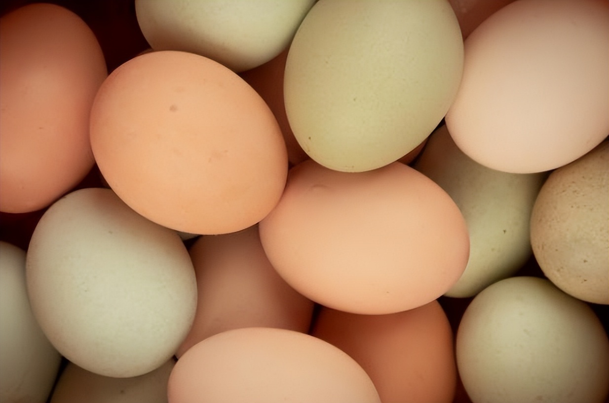 鹌鹑蛋、鸡蛋、鸭蛋、鹅蛋，哪种更有营养？医生：2种蛋尽量少吃