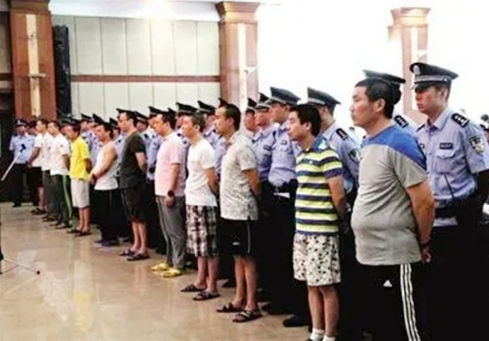 皇家一号案,皇家一号案件真实原因