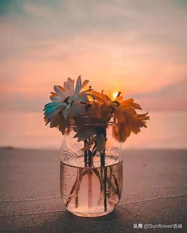 唯美惊艳的治愈句子,优雅走心,直抵心灵