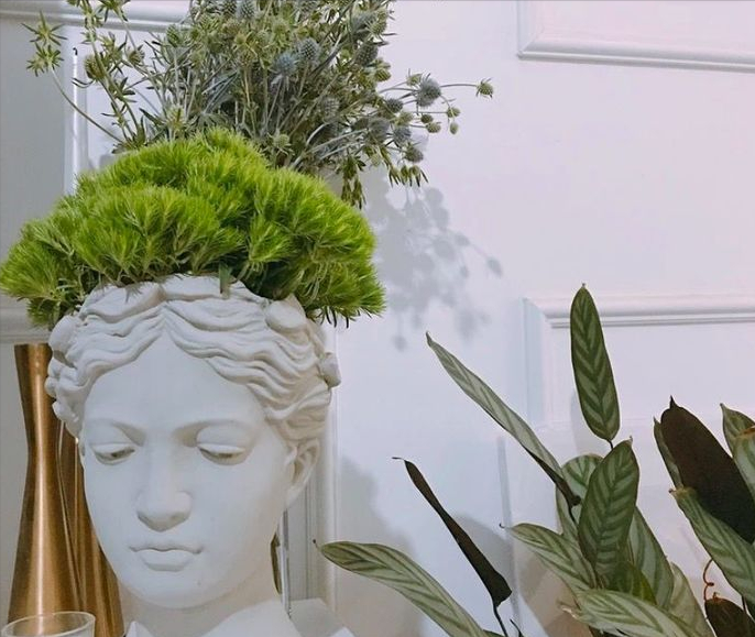 全网最火的12种高颜值绿植，杀手or圣手，就看这篇了