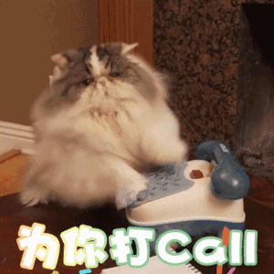 520丨这些律师真的太优秀了，我要向你表白！爱你哟