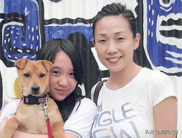 李宗盛林忆莲：深爱注入歌中，缘份却始终无法渗透的生命旅程