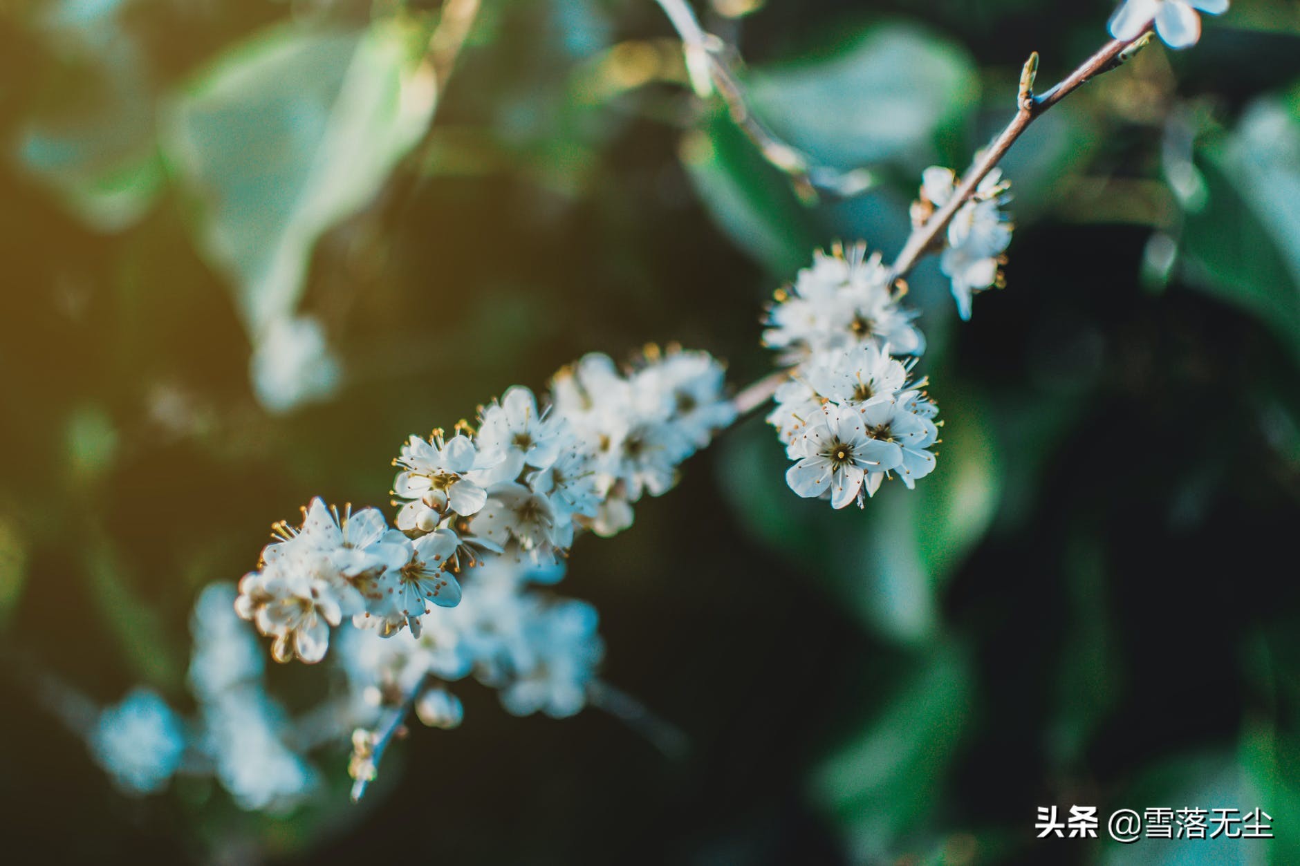 人活一世，心越大，命越好