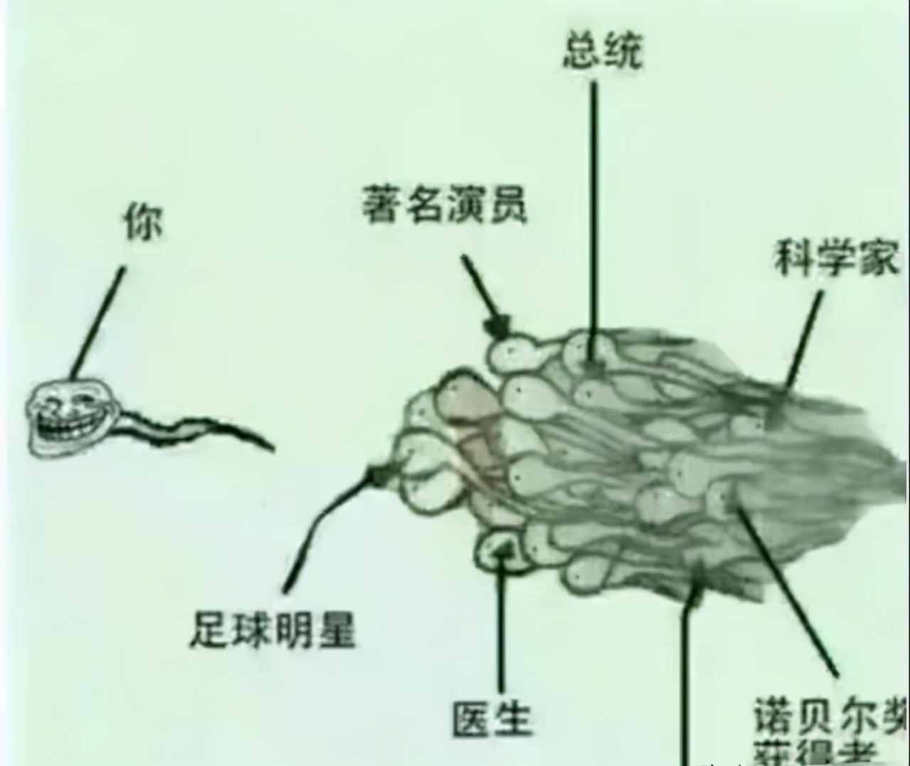 哪个瞬间让你知道自己已经不小了：车上尿急时饮料瓶满足不了我了