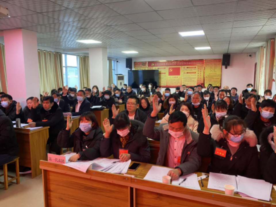 东风浩荡满目春 只争朝夕启新程 ——桐柏县城郊乡：第十七届人民代表大会第一次会议胜利召开