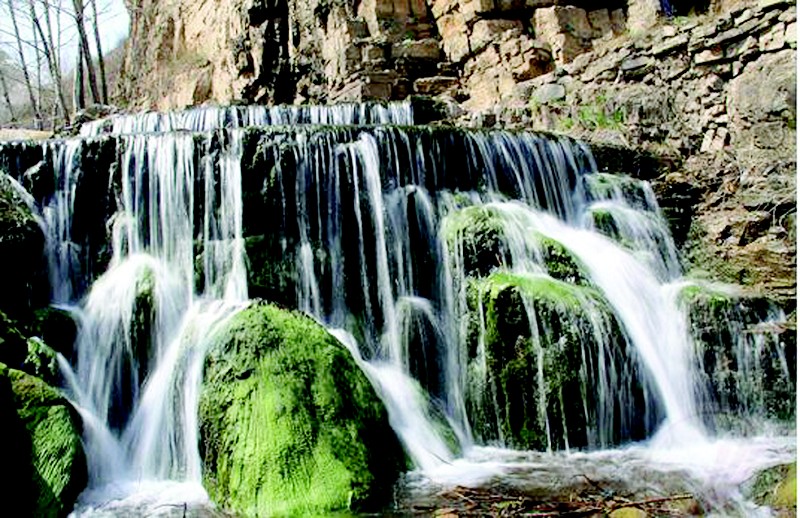 山西“花经济”春光无限，玉泉山、紫荆山、桃花山、北武当山、中条山，春意盎然、山花烂漫