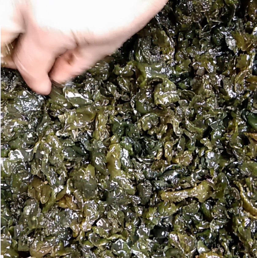 地皮菜的功效与作用(地皮菜) - 行就行