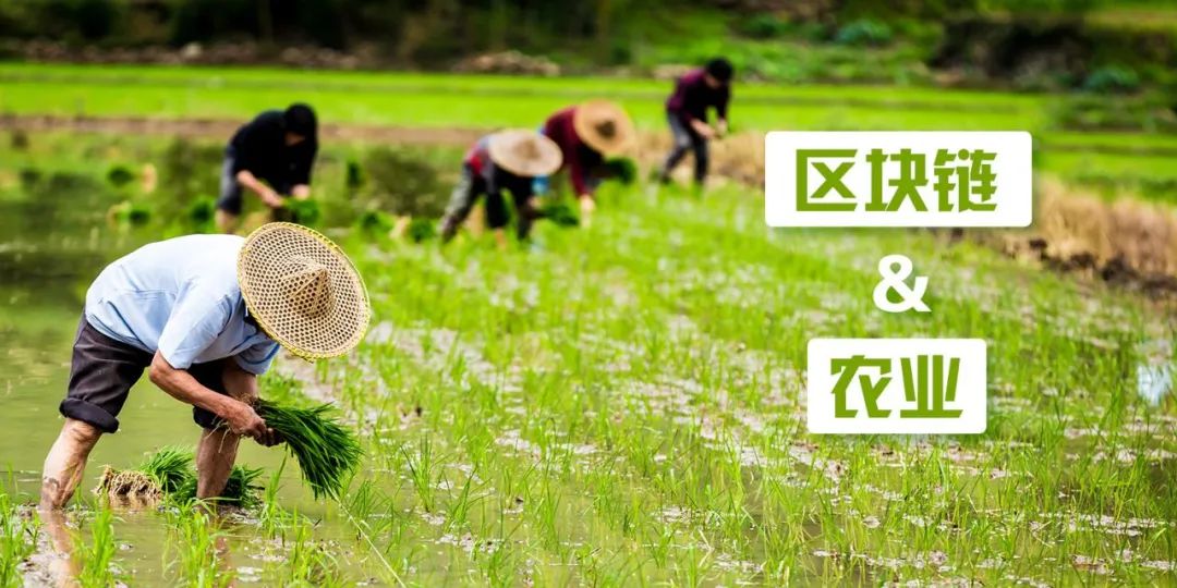 区块链+农业，能够爆发哪些创业机会