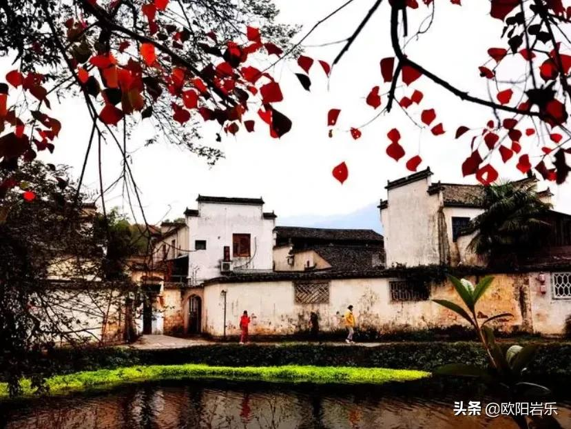 适合冬天出发的12条自驾路线,人少景美,来一场自驾之旅吧