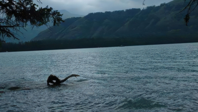 游客拍摄到不明生物，喀纳斯湖中掀起波浪，可能是什么？景区回应