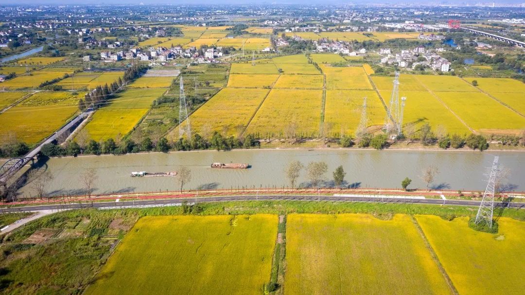 等你来打卡！为古镇南浔留住水晶晶的乡愁