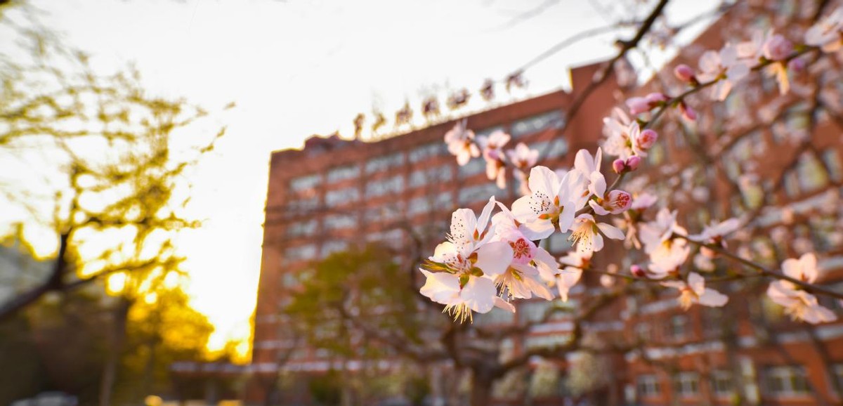 专业实力全国领先！北京这所大学：还是国际“重磅”联盟5名成员之一！