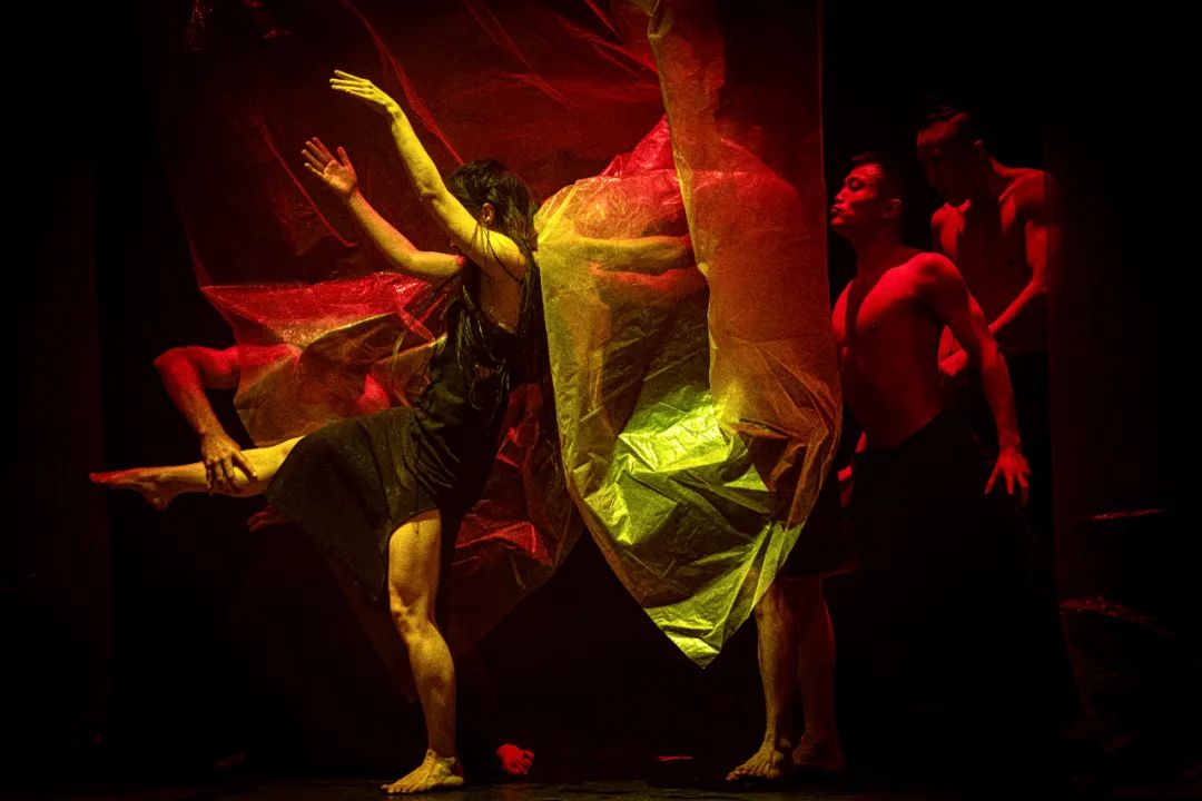 金牌剧评人｜那只是昨夜的一场梦而已