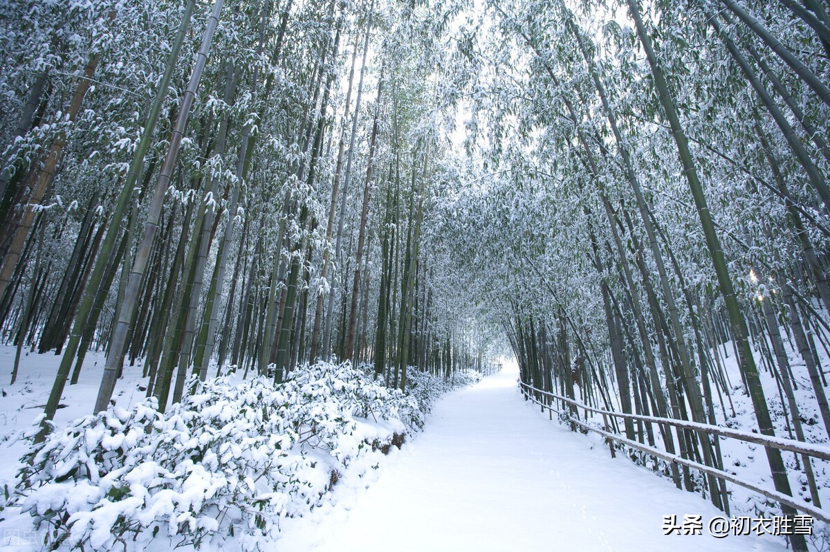 唯美春雪唐诗七首：春雪满空来，触处似花开