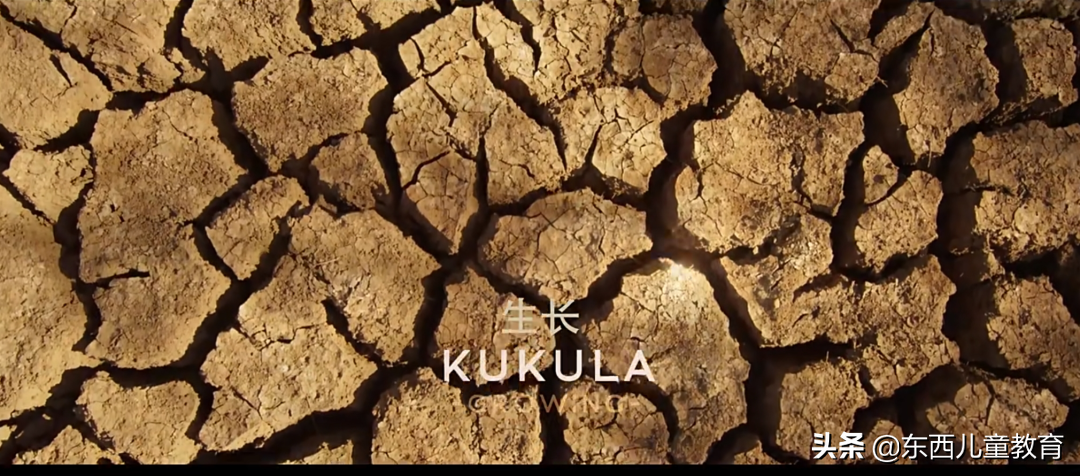 我挖到一部超棒的电影！娃看完大受震撼，主动说要好好学习