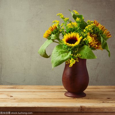 传说故事：更无柳絮因风起，惟有葵花向日倾——向日葵