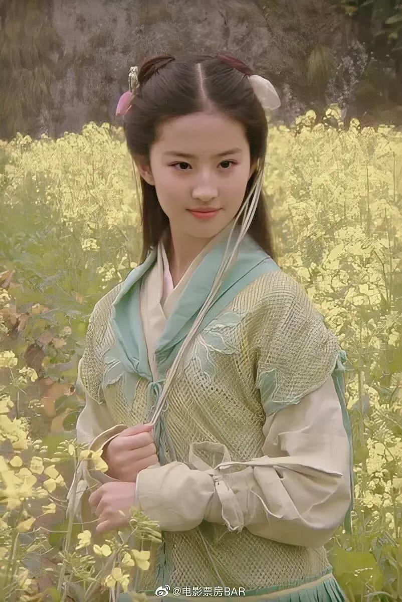 梦华录|刘亦菲时隔16年再演古装剧