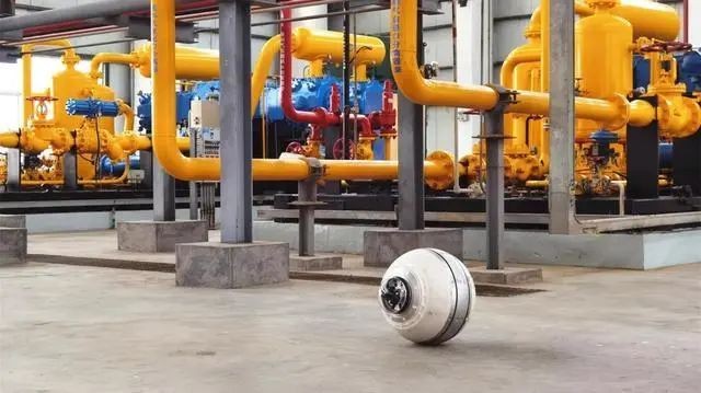 父亲尿毒症、奶奶结肠癌，寒门小伙“变身”交大博士，研发“球形机器人”！