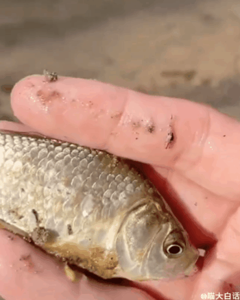 跟刘亦菲演对手戏有多难？哈哈哈哈哈这心路历程笑死我